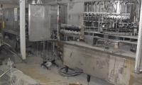 SDC10462.jpg